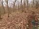 Once in a Lifetime Hunting Property in Southwestern Wisconsin Photo 4