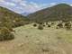 Mountain Retreat – ON Acres Surrounded National Forest Photo 15
