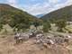 Mountain Retreat – ON Acres Surrounded National Forest Photo 8