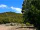 Hunters Paradise Colorado Mountain Property Owner Financing Photo 3