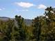 Hunters Paradise Colorado Mountain Property Owner Financing Photo 6