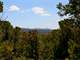 Hunters Paradise Colorado Mountain Property Owner Financing Photo 9