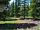 Alpine Property High in the Rockies Thousands Acres Owner Financing Photo 3