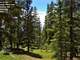 Alpine Property High in the Rockies Thousands Acres Owner Financing Photo 6