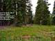 Alpine Property High in the Rockies Thousands Acres Owner Financing Photo 8