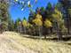 5 Acre Property Close National Forest