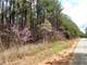 5 Wooded Acres with Stream Frontage in Heart Hunting Country