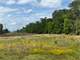 East Texas Hunting Paradise with Live Water Photo 11