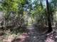 East Texas Hunting Paradise with Live Water Photo 12