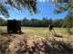 East Texas Hunting Paradise with Live Water Photo 13