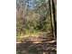 East Texas Hunting Paradise with Live Water Photo 16