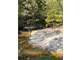 East Texas Hunting Paradise with Live Water Photo 17