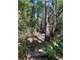 East Texas Hunting Paradise with Live Water Photo 19