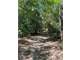 East Texas Hunting Paradise with Live Water Photo 20
