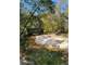 East Texas Hunting Paradise with Live Water Photo 9