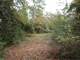 Unrestricted 47.5 Acres Newton County Paradise Photo 10
