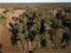 Unrestricted 47.5 Acres Newton County Paradise Photo 11