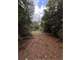 Unrestricted 47.5 Acres Newton County Paradise Photo 1