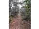 Unrestricted 47.5 Acres Newton County Paradise Photo 2