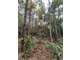 Unrestricted 47.5 Acres Newton County Paradise Photo 3