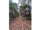 Unrestricted 47.5 Acres Newton County Paradise Photo 5