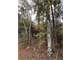 Unrestricted 47.5 Acres Newton County Paradise Photo 6