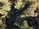 Unrestricted 47.5 Acres Newton County Paradise Photo 8