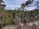 4 Acres Surrounded Government Land Photo 6