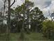 0.11 Acre in Jacksonville FL Photo 2