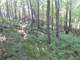 Acres Unique Hunting Property Sauk County Photo 1