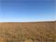 Central Kansas 240 Acres Deer Hunting Photo 1