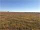 Central Kansas 240 Acres Deer Hunting Photo 3