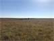 Central Kansas 240 Acres Deer Hunting Photo 5