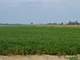 66-Acres Tillable-18- Wooded- Clark County-Wi