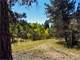 5 Acre Property Close National Forest Photo 2