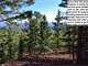 Colorado Hunting Property- Nice Pad W Drive- Views Borders Common Lands Photo 10