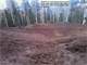 Colorado Hunting Property- Nice Pad W Drive- Views Borders Common Lands Photo 13