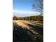 Hunting Land for Sale. 281 Acres in Northwest Alabama Photo 5