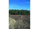 Hunting Land for Sale. 281 Acres in Northwest Alabama Photo 7