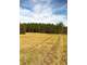 Hunting Land for Sale. 281 Acres in Northwest Alabama Photo 8