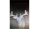 Quality White-Tail Deer Hunting Property in Osceola IA Photo 17