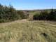 Quality White-Tail Deer Hunting Property in Osceola IA Photo 8
