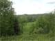 40-Acre Hobby Farm- Hunting Land- Getaway Photo 3