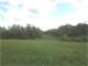 40-Acre Hobby Farm- Hunting Land- Getaway Photo 4