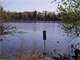 Waterfowl Hunting Land in Waushara County WI Photo 14