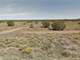 1 Acre in Williams AZ Photo 2