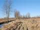 Acres Fantastic Hunting Property in Mason Michigan Photo 10