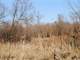 Acres Fantastic Hunting Property in Mason Michigan Photo 13