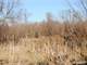 Acres Fantastic Hunting Property in Mason Michigan Photo 14