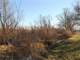 Acres Fantastic Hunting Property in Mason Michigan Photo 17